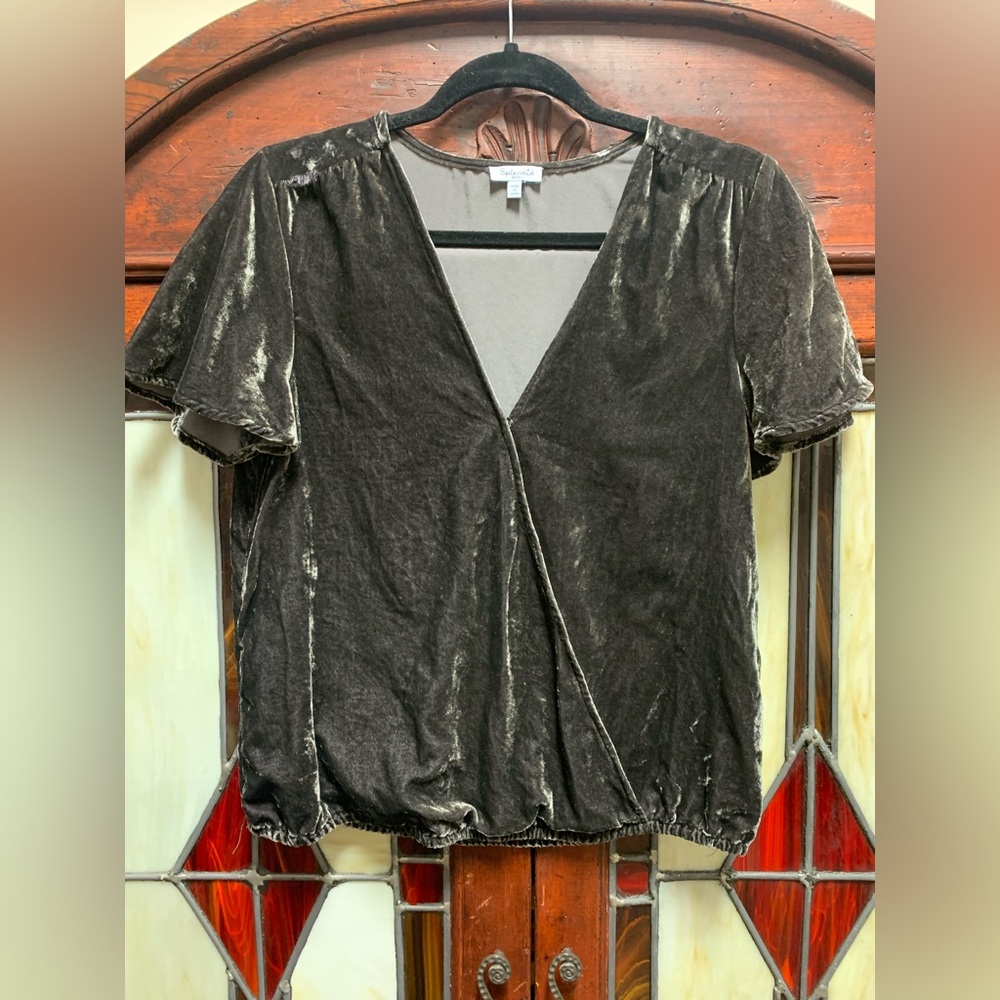 Splendid Grey Velvet V-Neck Blouse